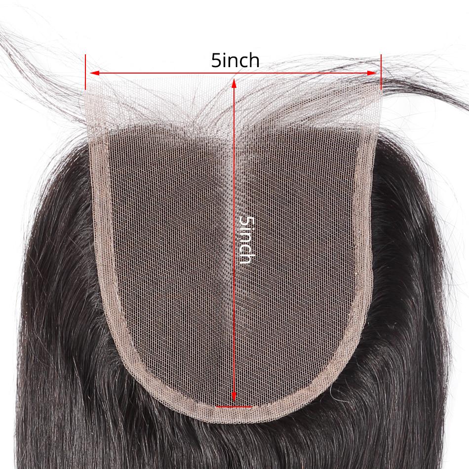 5x5 Lace Closure Brazilian Virgin Hair Straight